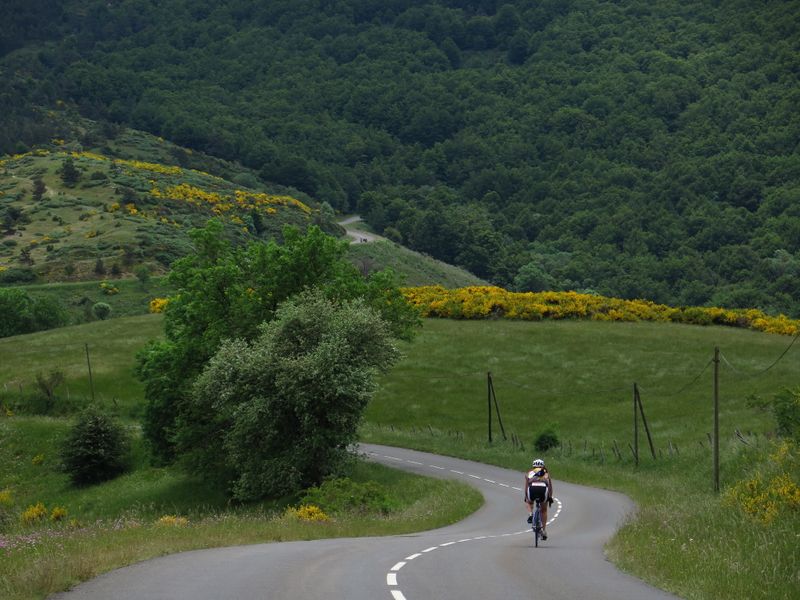 Clicca per la Photo-Gallery