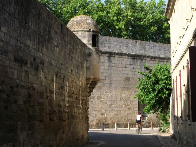 Clicca per la Photo-Gallery