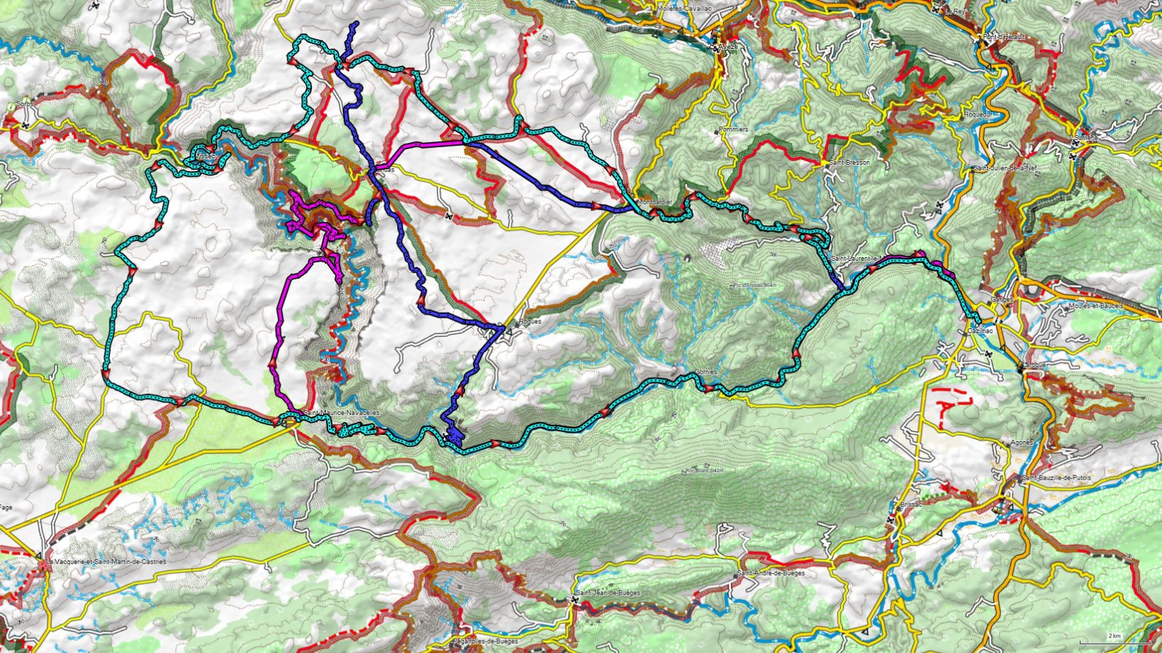Clicca per ingrandire