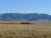 mongolia030
