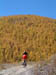 mongolia123