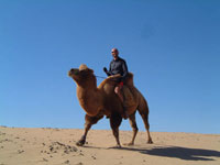 A cammello sulle mongols Els