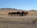 mongolia403