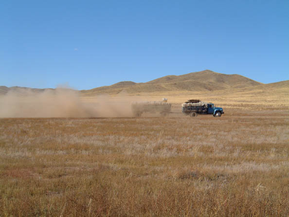 mongolia407