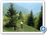 grassitorta08