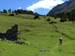 L'Alpe del Gallo