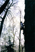 New River Gorge