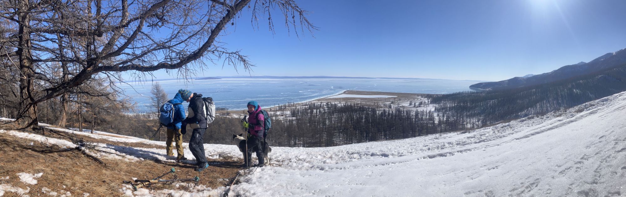 Panorama on the iced Hovsgol Lake
