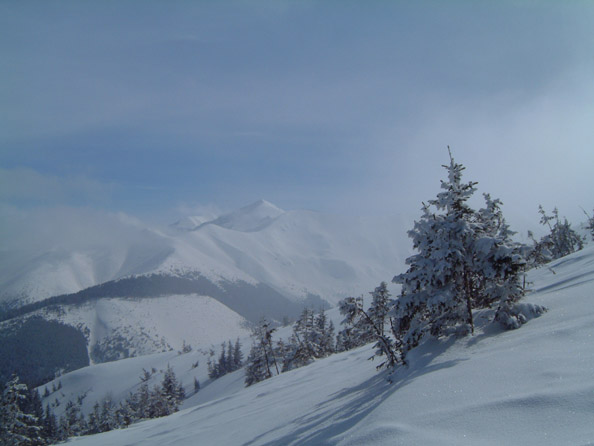 DSCF7491