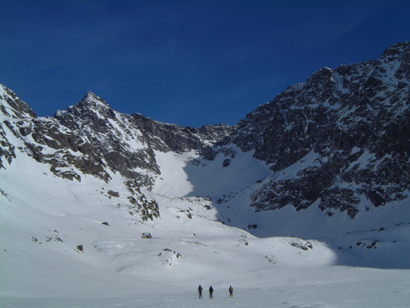 DSCF8007