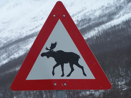 tromso010