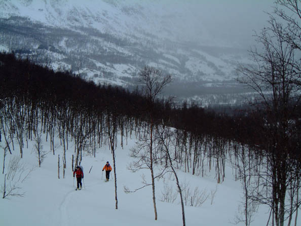 tromso030