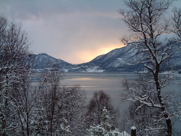 tromso049