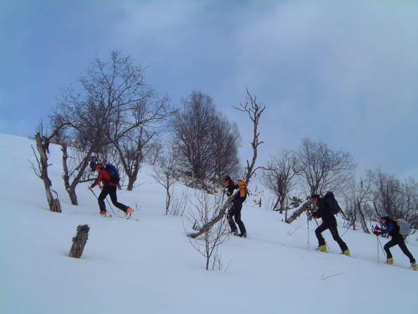 tromso071
