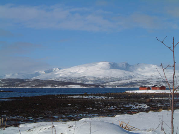 tromso104