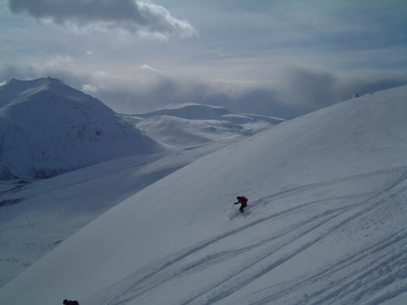 tromso229