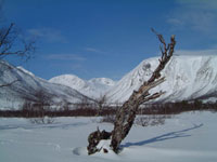 Verso il Durmalfjellet (921m)