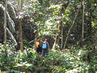 Trekking nella foresta pluviale