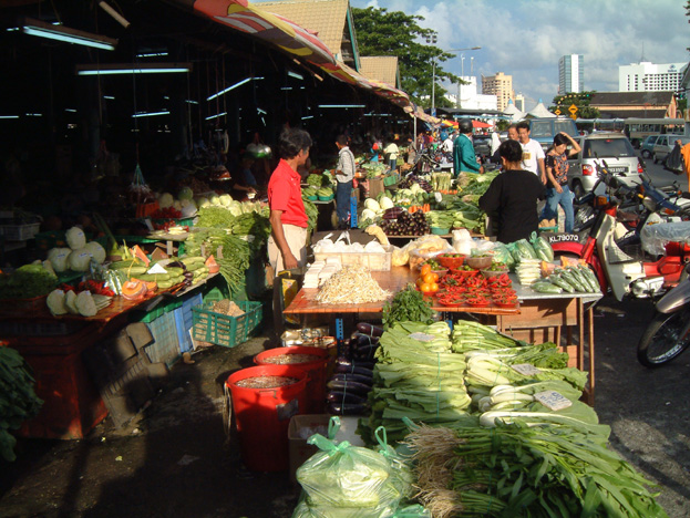 borneo009