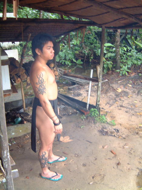 borneo022