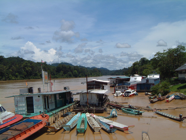 borneo054