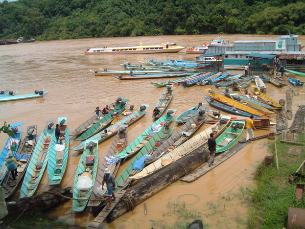borneo055