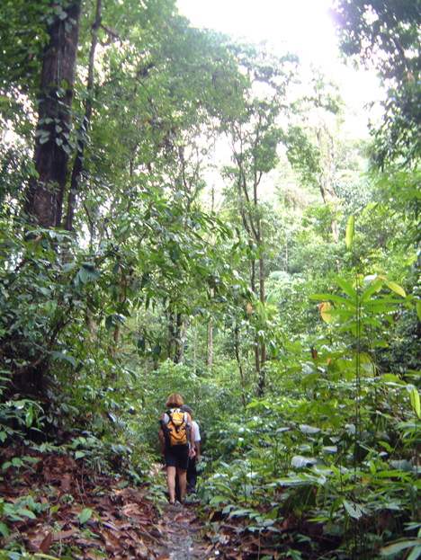 borneo063
