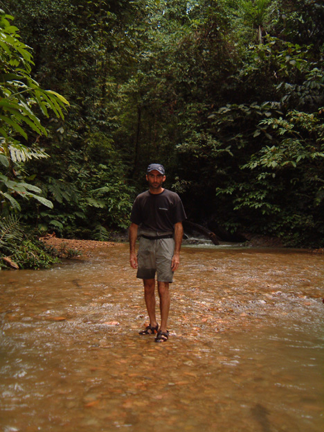 borneo064