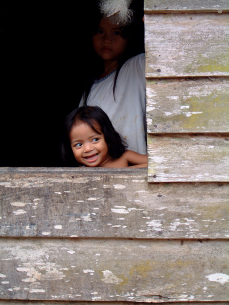 borneo077