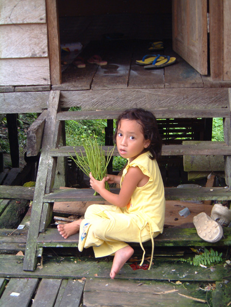 borneo078