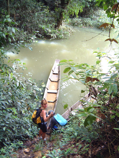 borneo095