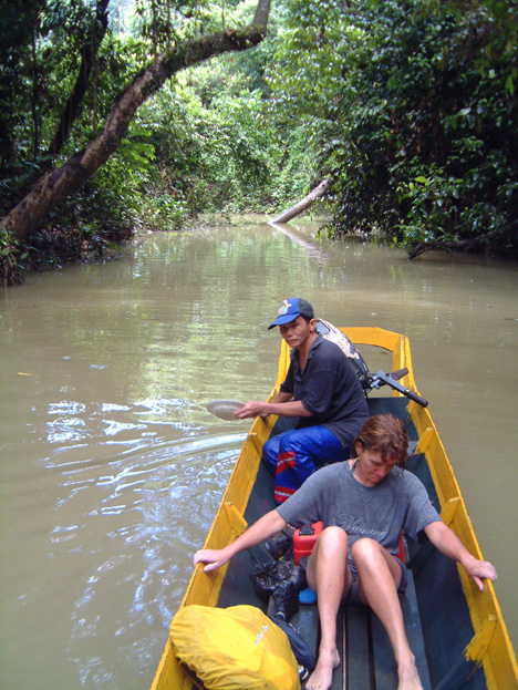 borneo102
