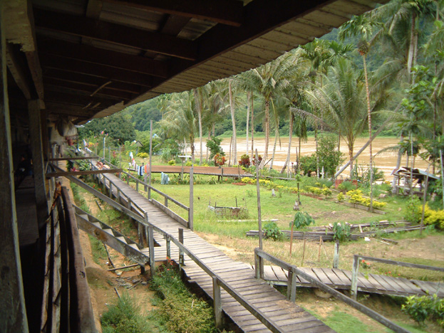 borneo104b