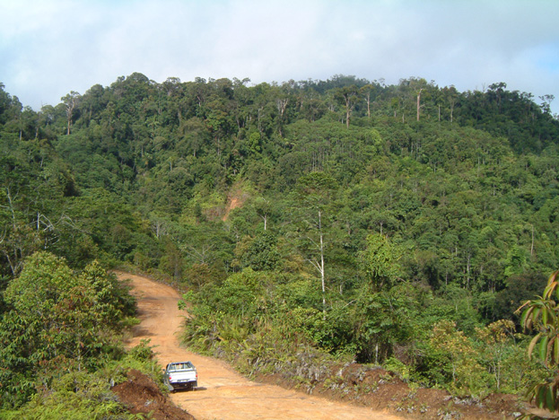 borneo114