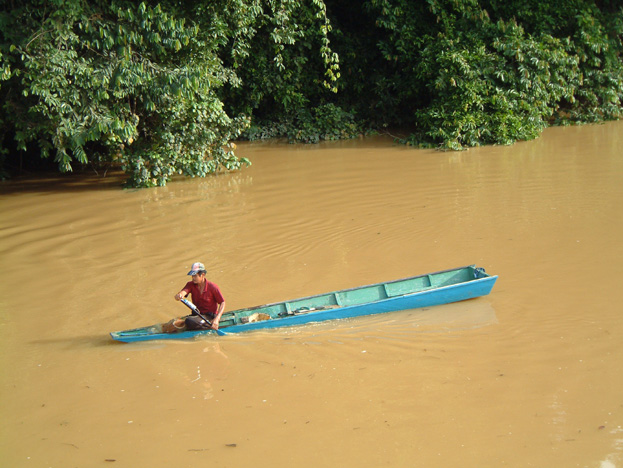 borneo131