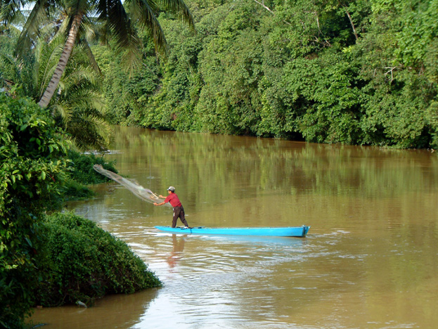 borneo132
