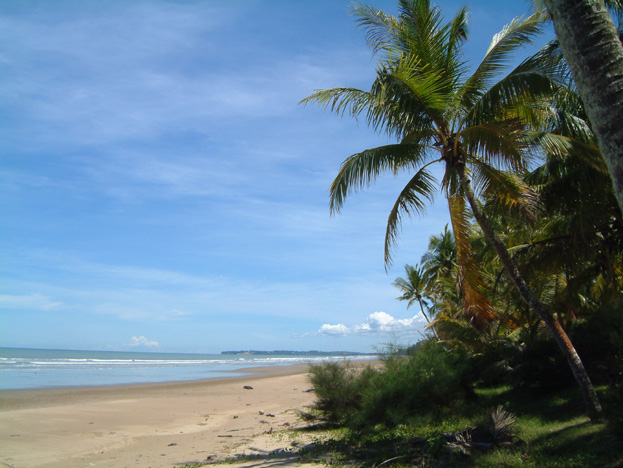 borneo138
