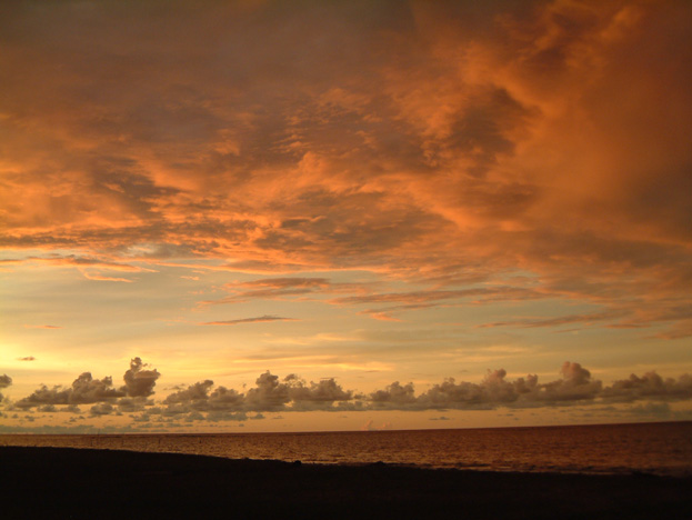 borneo145