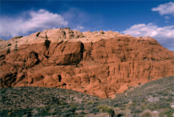 Red Rocks